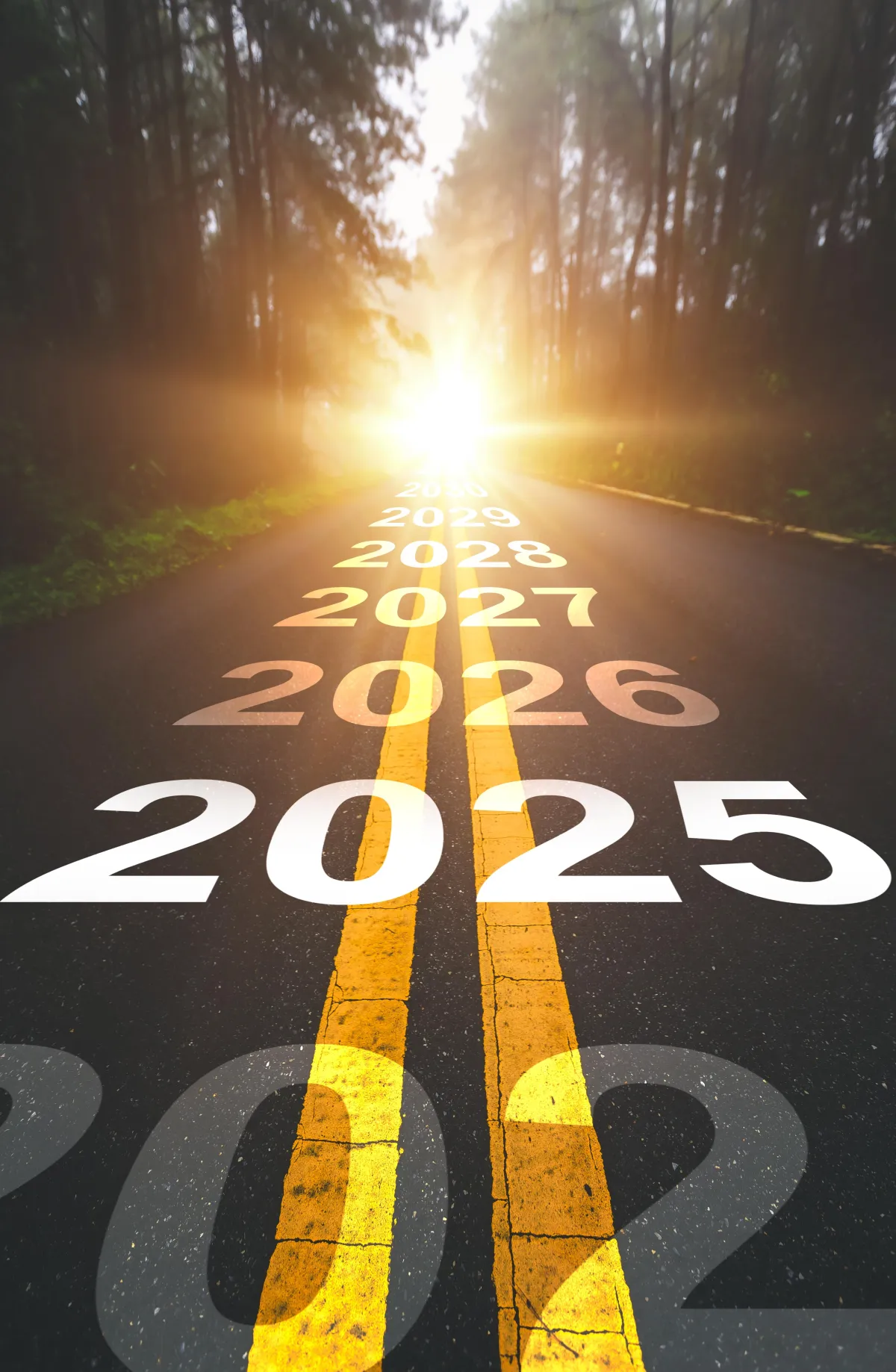 Future Reporting Requirements