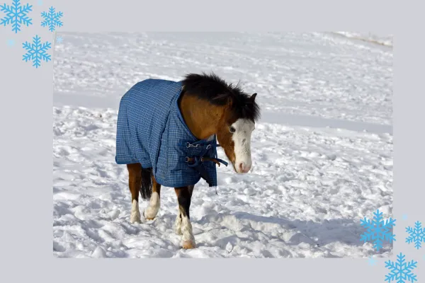 To Blanket or Not to Blanket: That is the Question