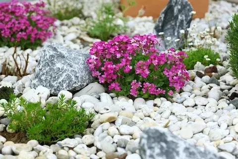 Rock Landscaping for Sunrise Manor NV Low-Water Yards