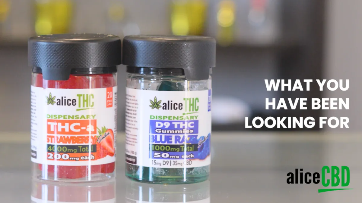 THC Gummies for Daytime and Nighttime