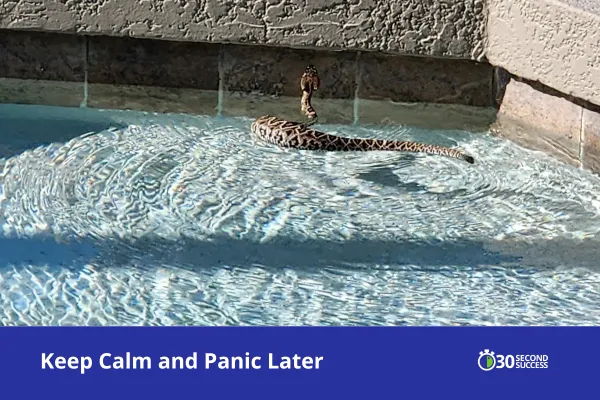 Keep Calm and Panic Later: Leadership Lessons from a Venomous Visitor