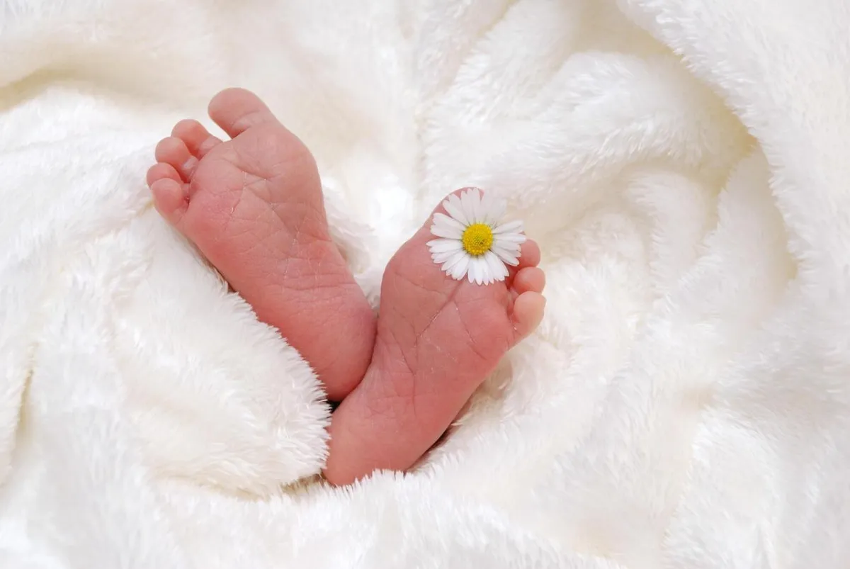 surrogacy-lawyer
