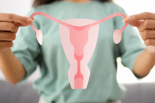Person in a green shirt holding a paper illustration of the female reproductive system, showing the uterus, fallopian tubes, and ovaries in pink tones. The diagram is centered and clearly visible, suitable for educational or medical use.
