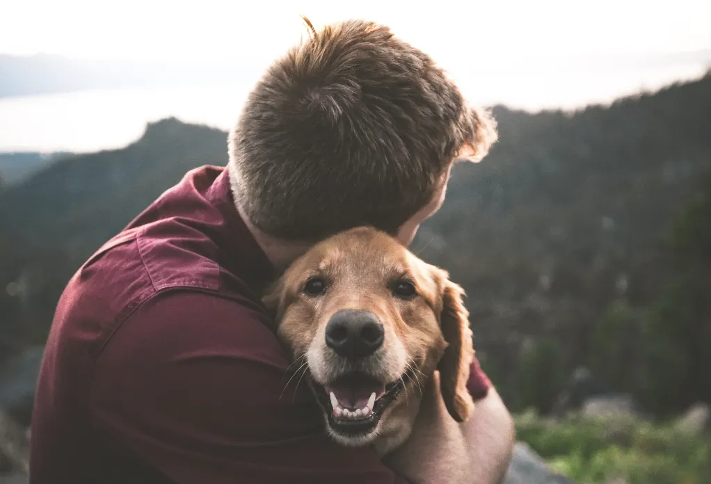 Estate plan with pet in mid