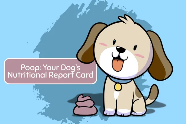 Why Poop Is Your Dog’s Most Honest Health Check