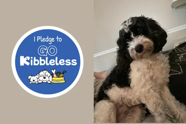 Why Go Kibbleless?