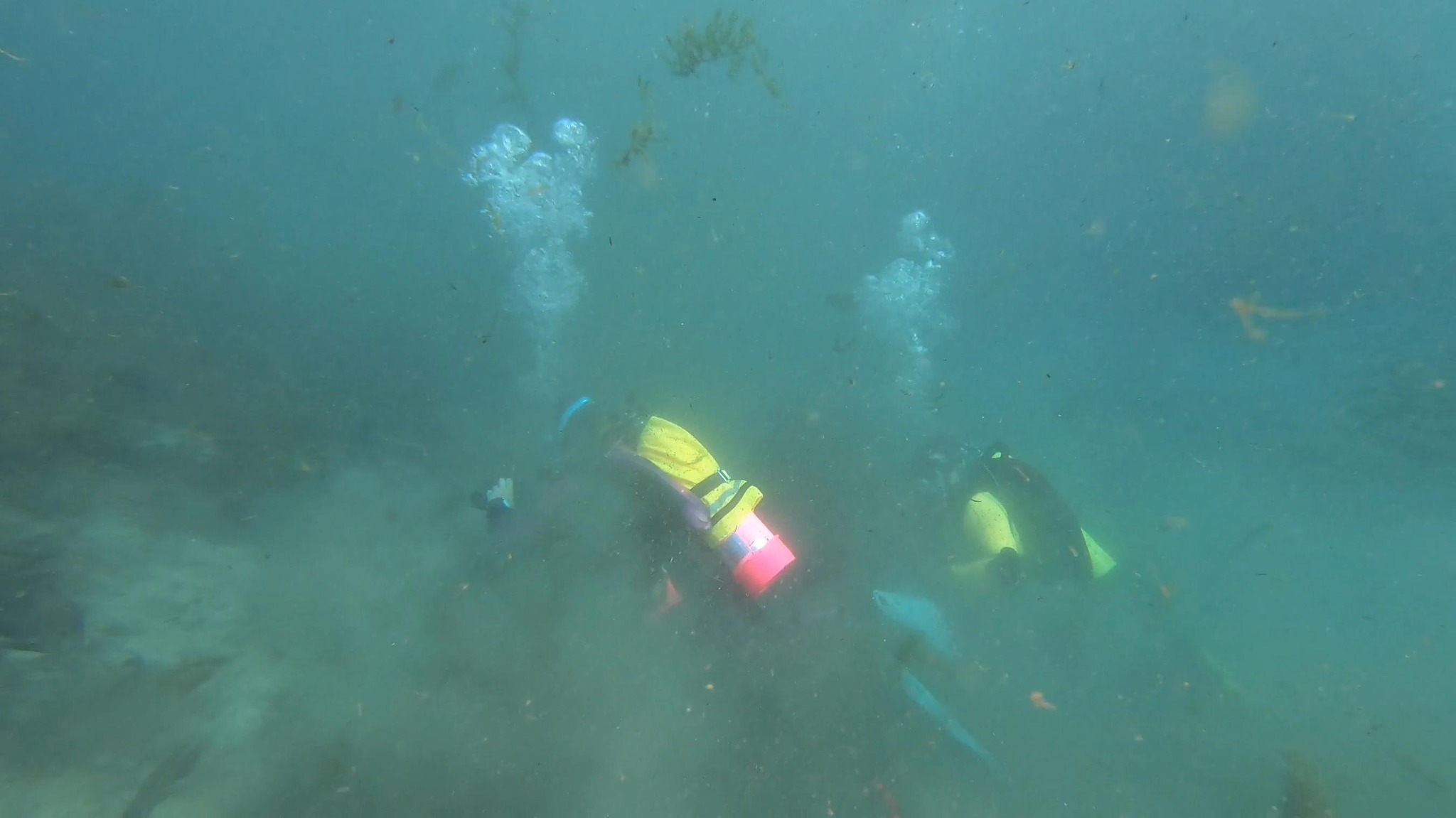 Volunteer diver performing a safety dive in clear Texas waters.