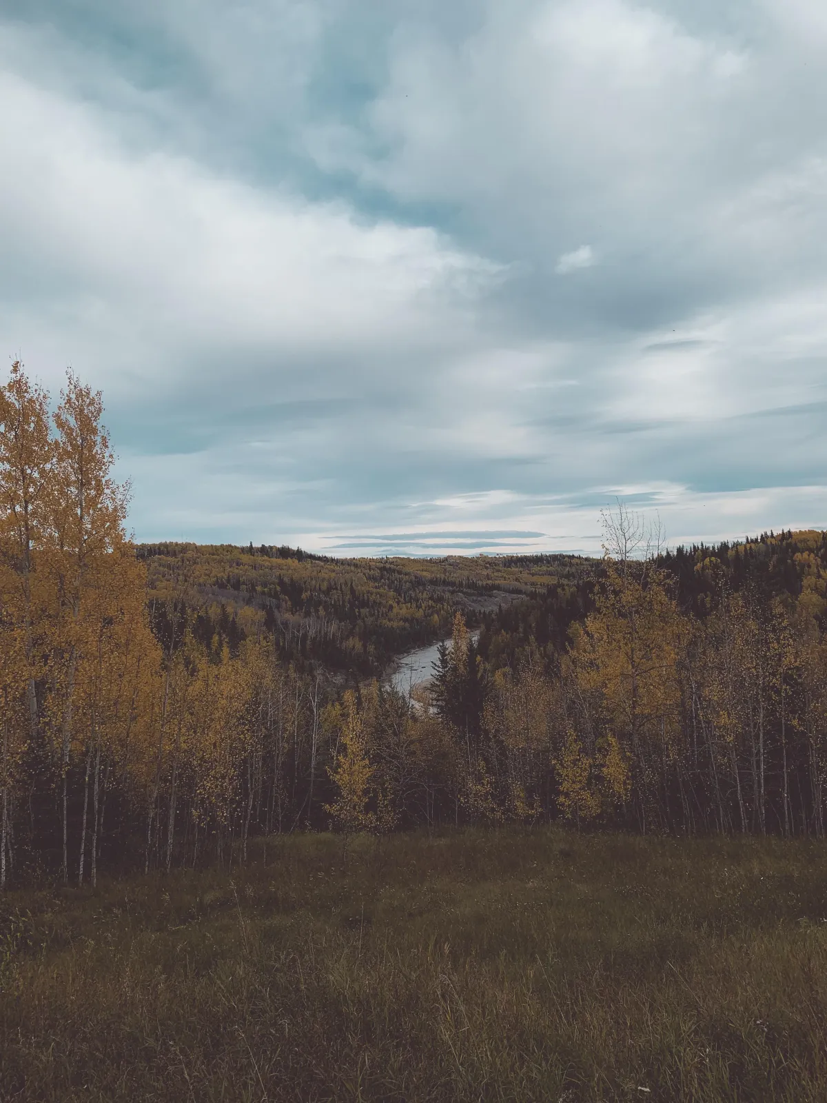 River forest view