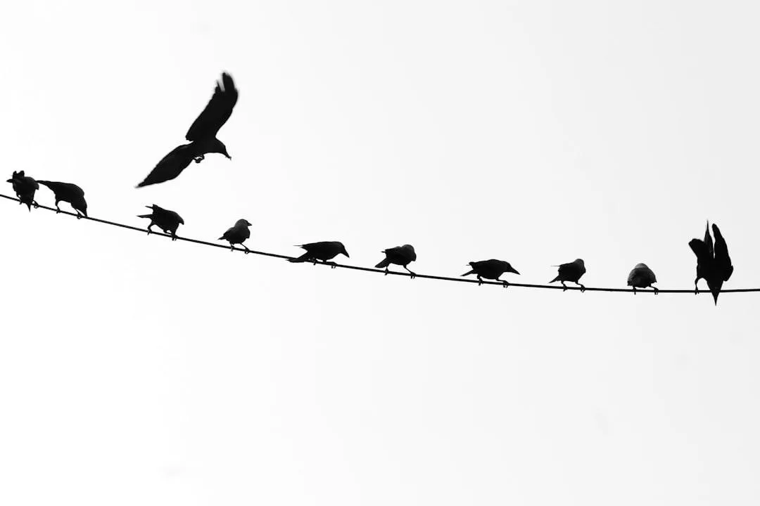 How is The Scope Creep Coming Along?