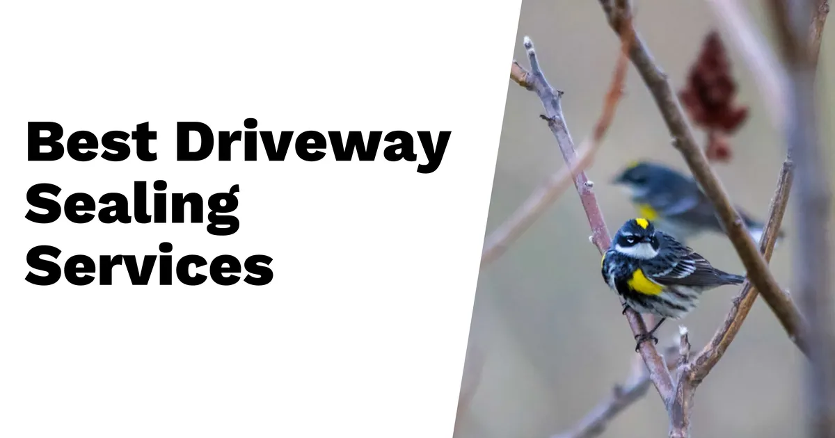 Discover the Best Driveway Sealing Services Near Me