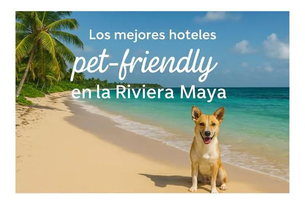 Los mejores hoteles pet-friendly en la Riviera Maya: vacaciones con tu mejor amigo