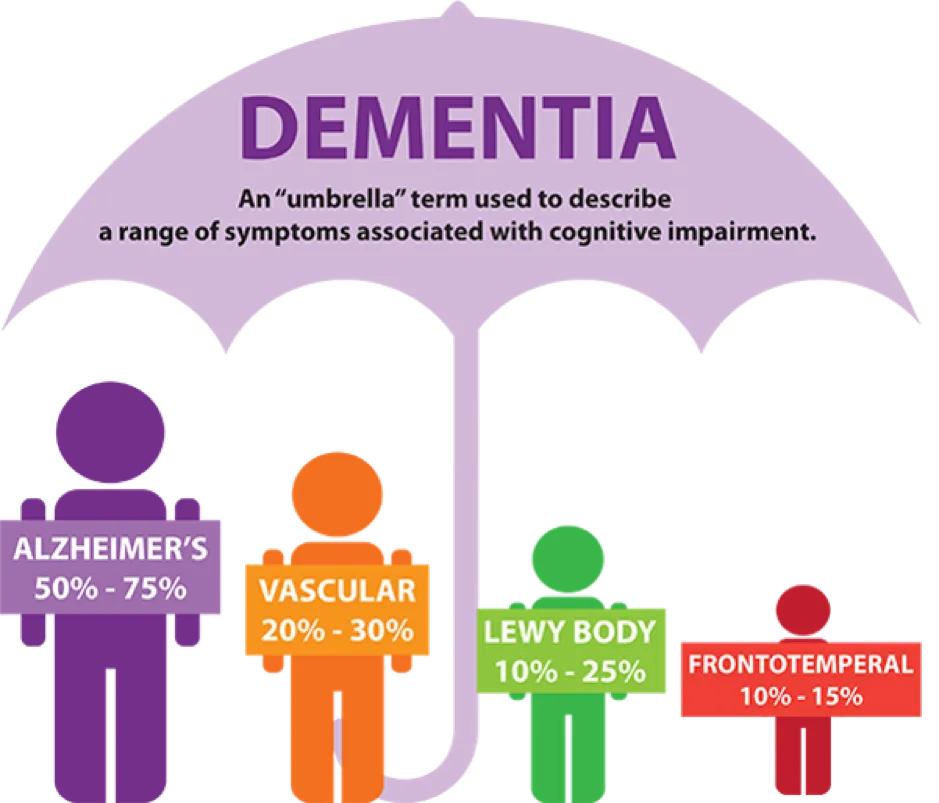 What are the main types of dementia, and how do they diff er