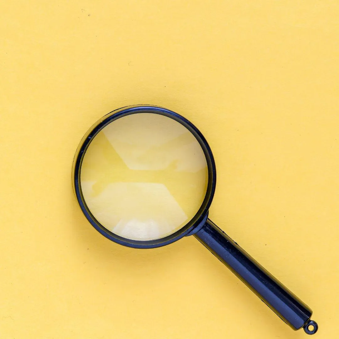 Fresh Focus: The Devil In The Detail