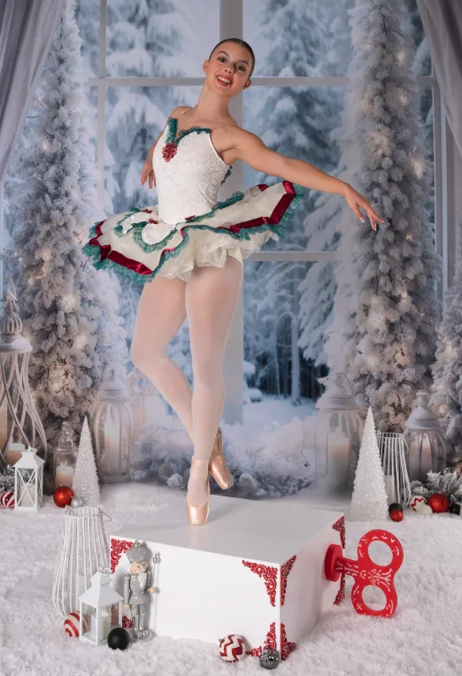 dancer en pointe in music box