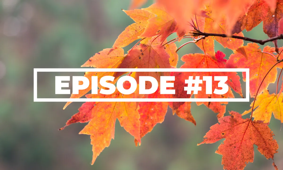 Changing The Game Through Self-Efficacy - with Andrea “Fitz” Fitzgerald