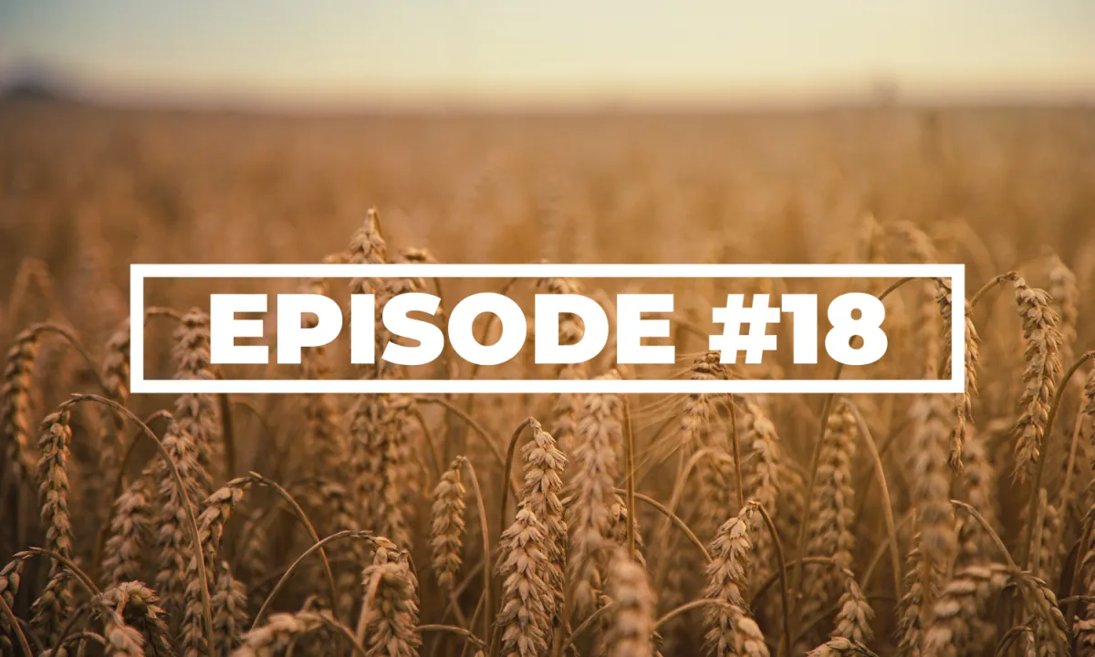 Creating A Math Community In A Remote Setting