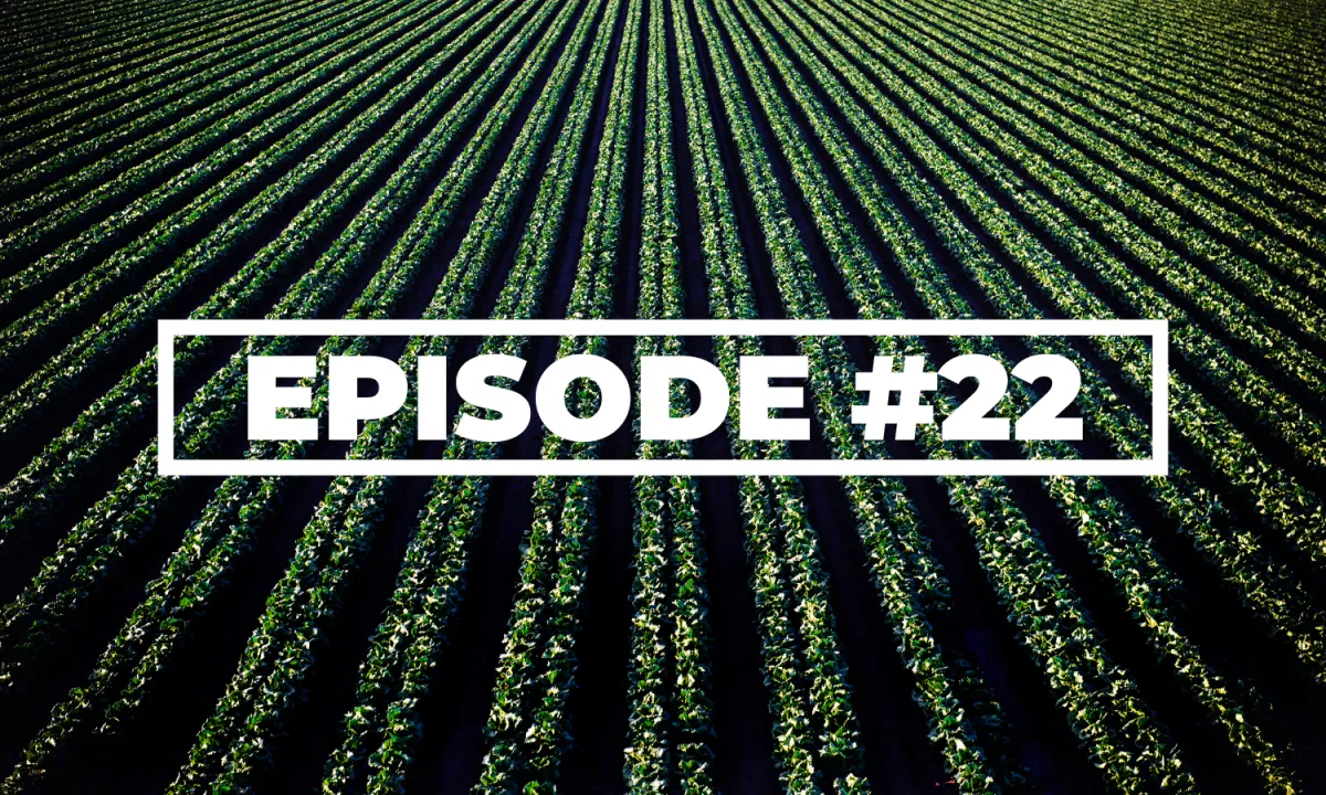 Moving Beyond, “What Should I Do First?”