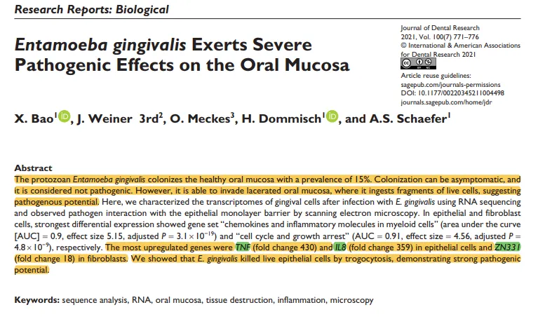 Entamoeba gingivalis Exerts Severe  Pathogenic Effects on the Oral Mucosa