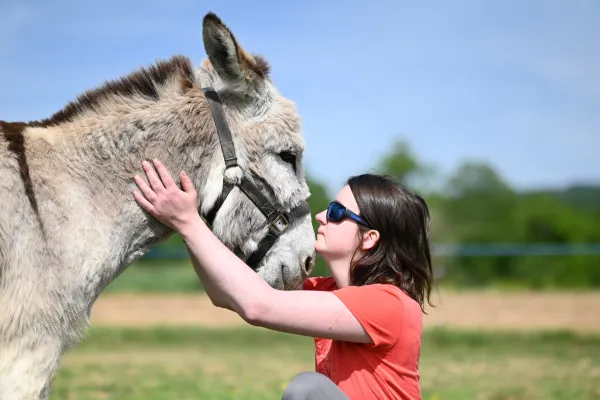 First responder connecting with a horse during equine therapy.