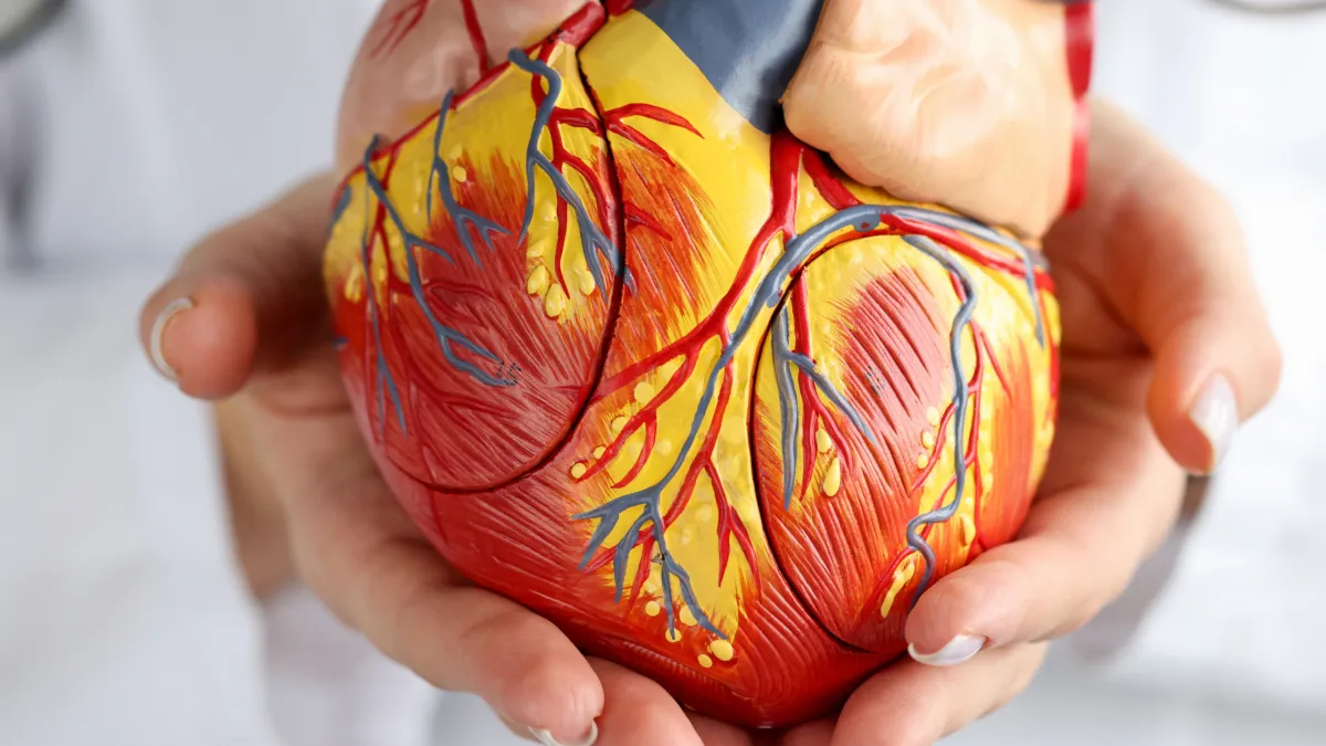 image of a doctor holding a model heart in his hands, the image is a depiction of heart health issues 