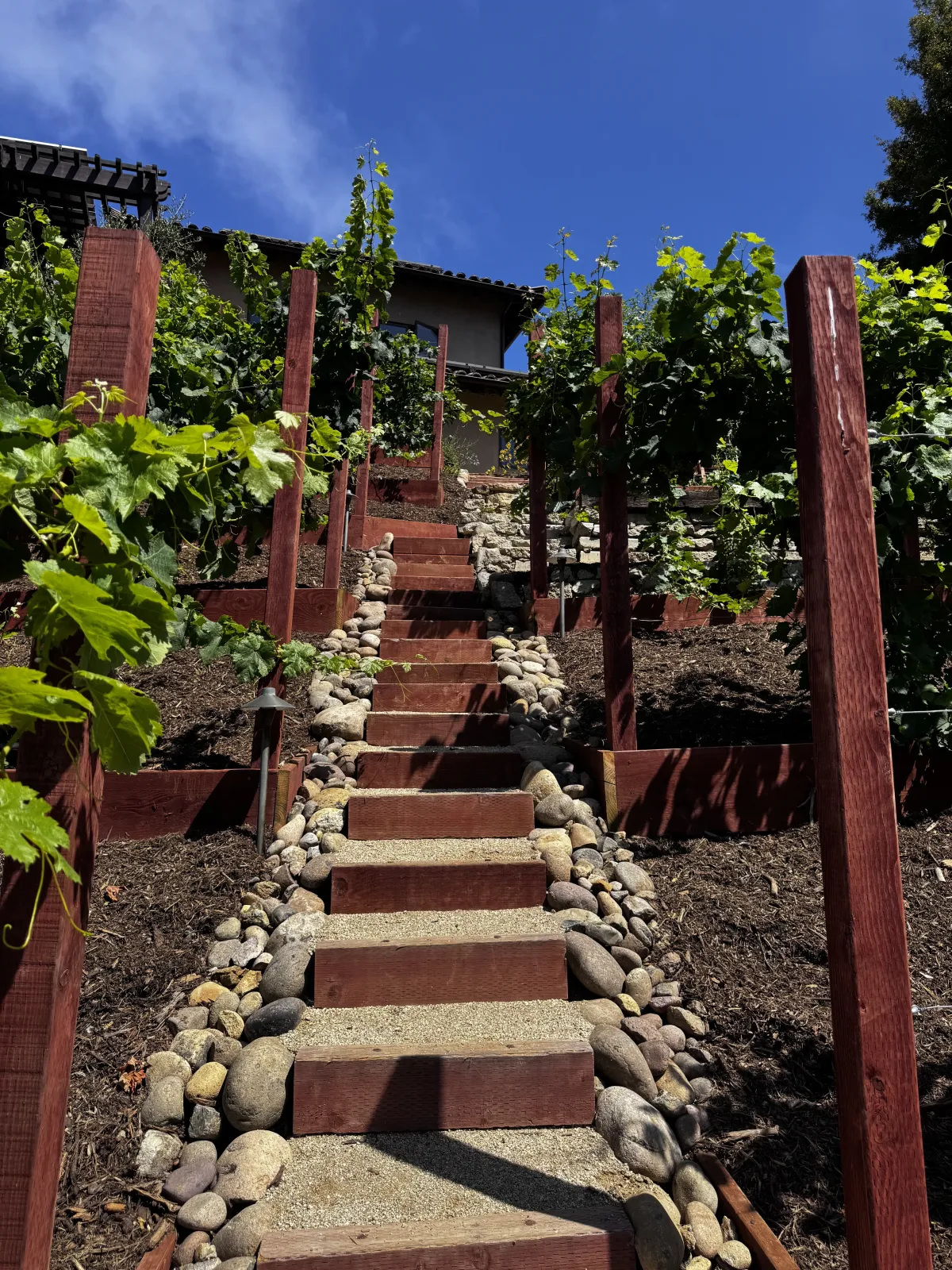 Vertical timber posts and climbing plants in a modern hillside garden.