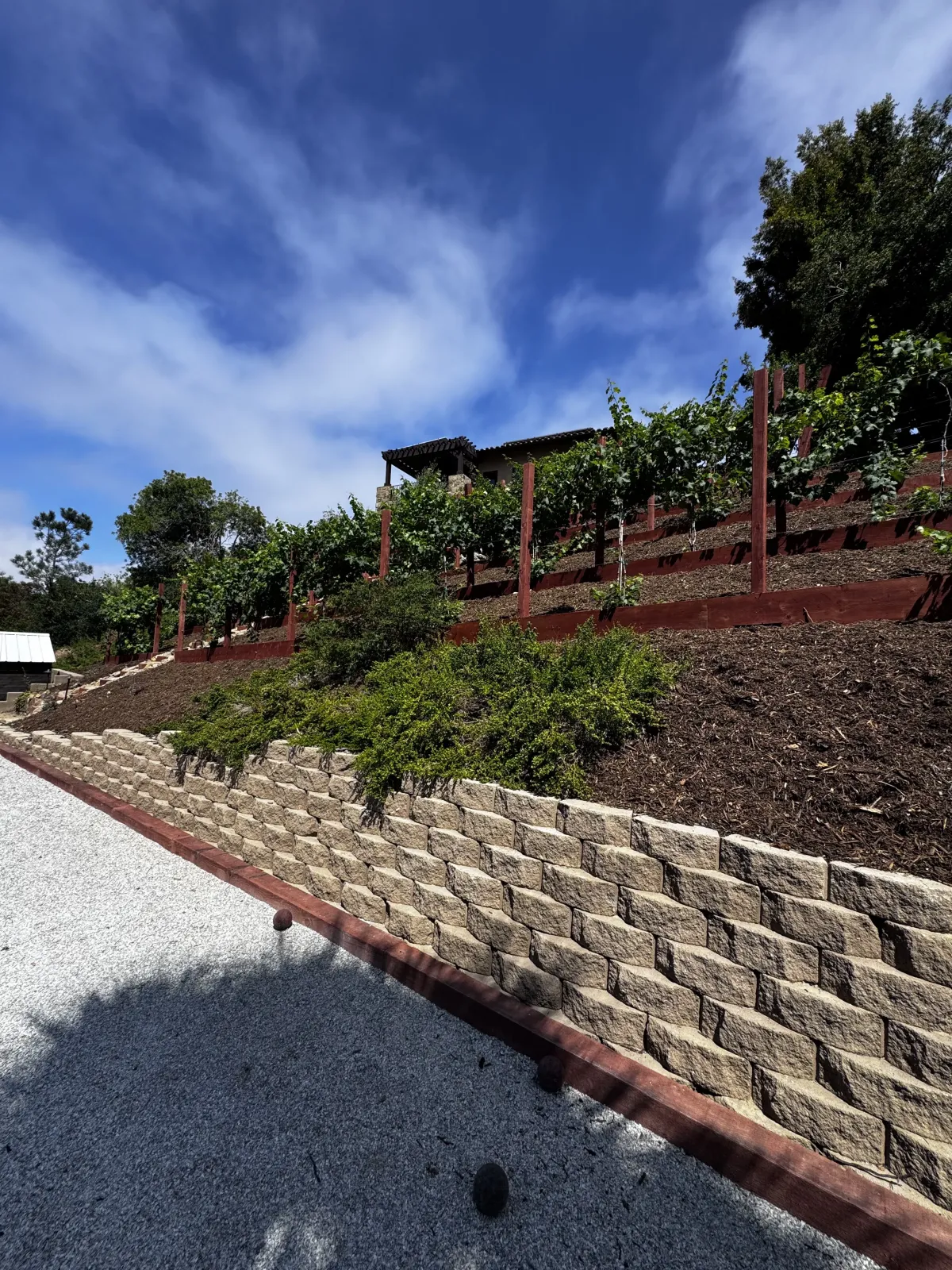 Wooden retaining walls and native greenery on a sunny hillside slope.