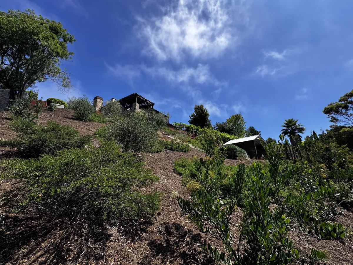 Elevated view of a bocce court and seating area on a landscaped hillside.