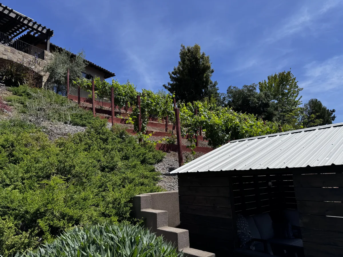Tiered wooden garden beds and native plants on a steep hillside.