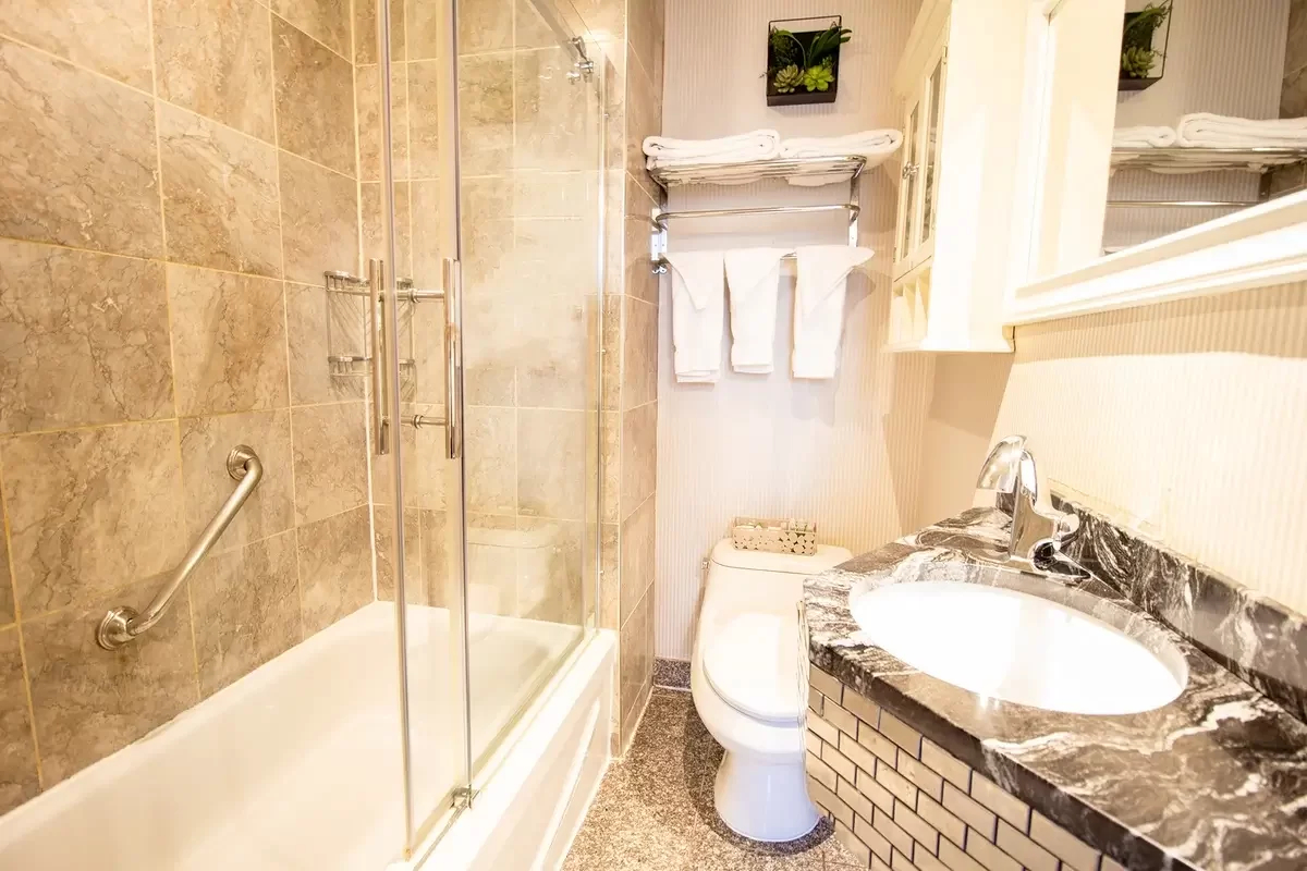 1 Bedroom Suite image 5