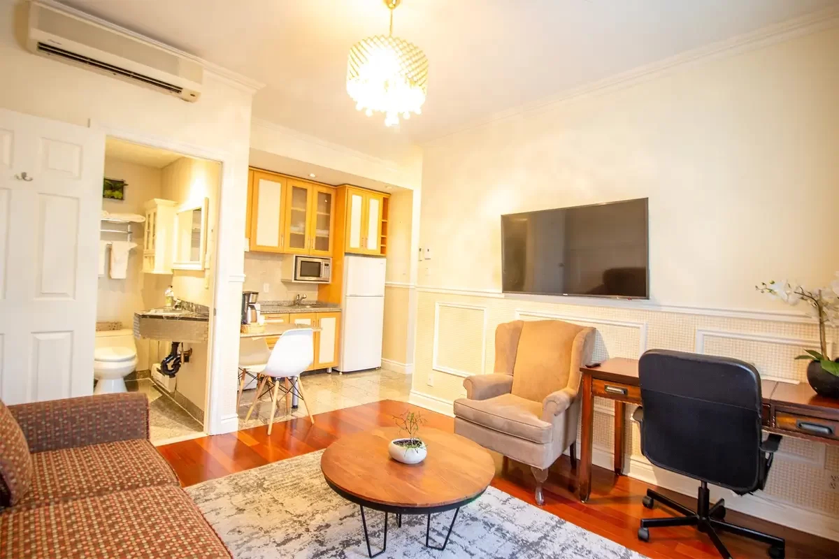 1 Bedroom Suite image 4