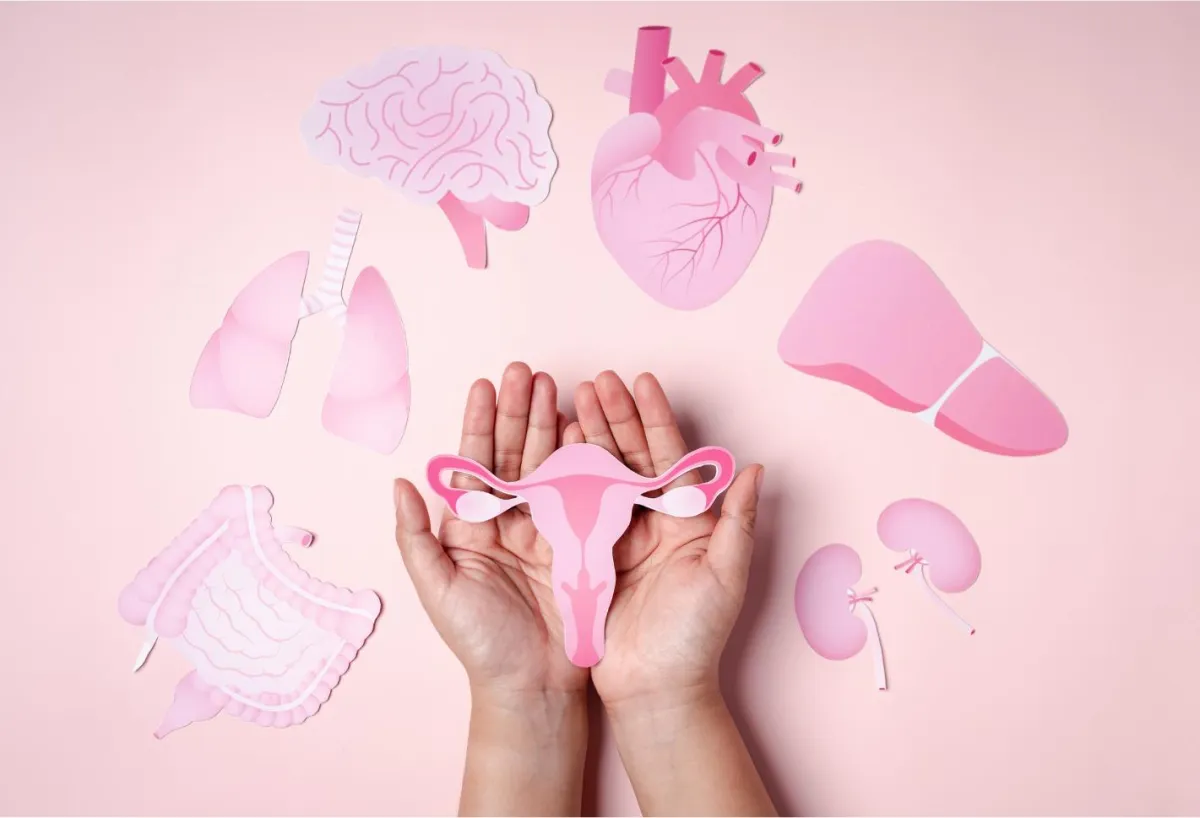 Low Estrogen 101: What Every Woman Should Know