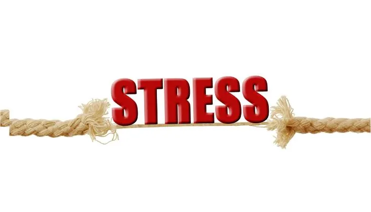 Stress and the Adrenals: A Match Made in Health Hell