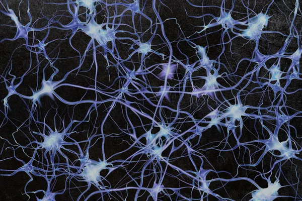 How to Heal and Reset a Dysregulated Nervous System: Evidence‑Based Practices, Lifestyle Changes and FAQs