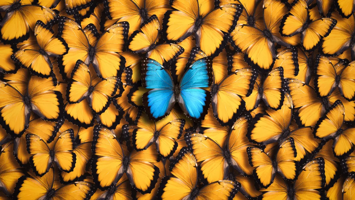 Why Comparison Quietly Destroys Your Confidence (and How to Get it Back)
