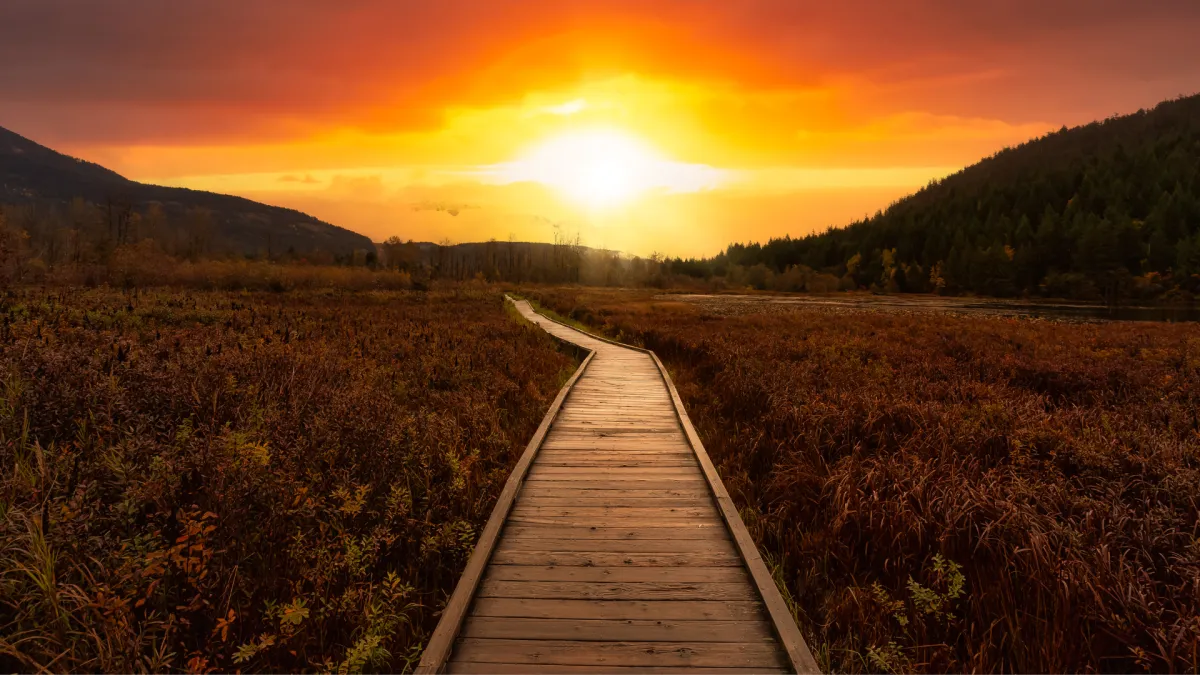 Building a Path That Fits You, Not Them