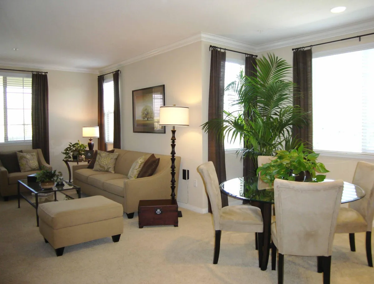 decorate a rental apartment