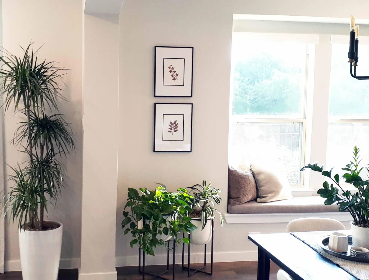 decorating with plants