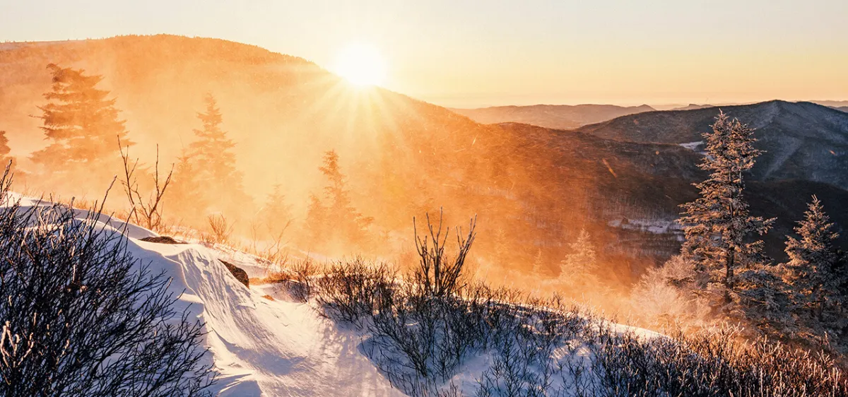 Now that the year has begun… clear this