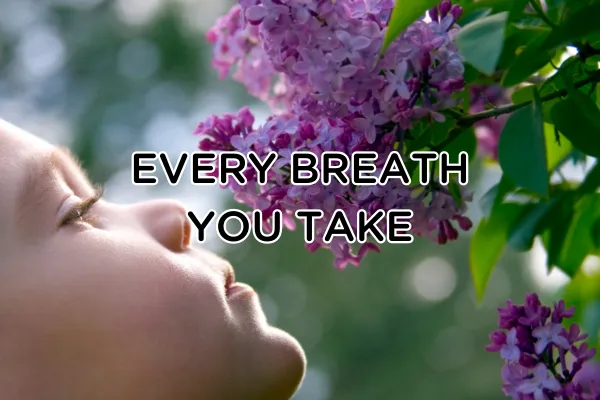 Every Breath You Take: How Our Sense of Smell Affects Our Mind and Mood
