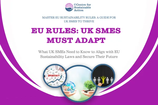 The EU’s New Sustainability Rules: What UK Small Businesses Need to Know