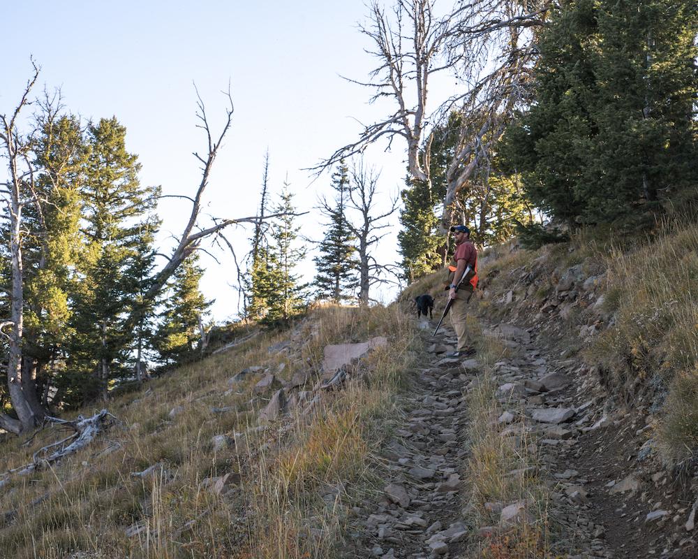uphill upland hunt