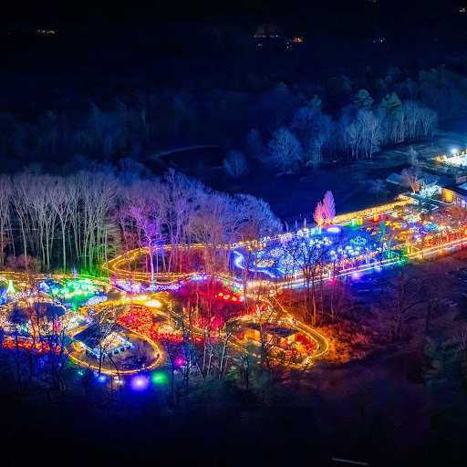 Night Lights at New England Botanic Garden: A Winter Walk Worth Taking