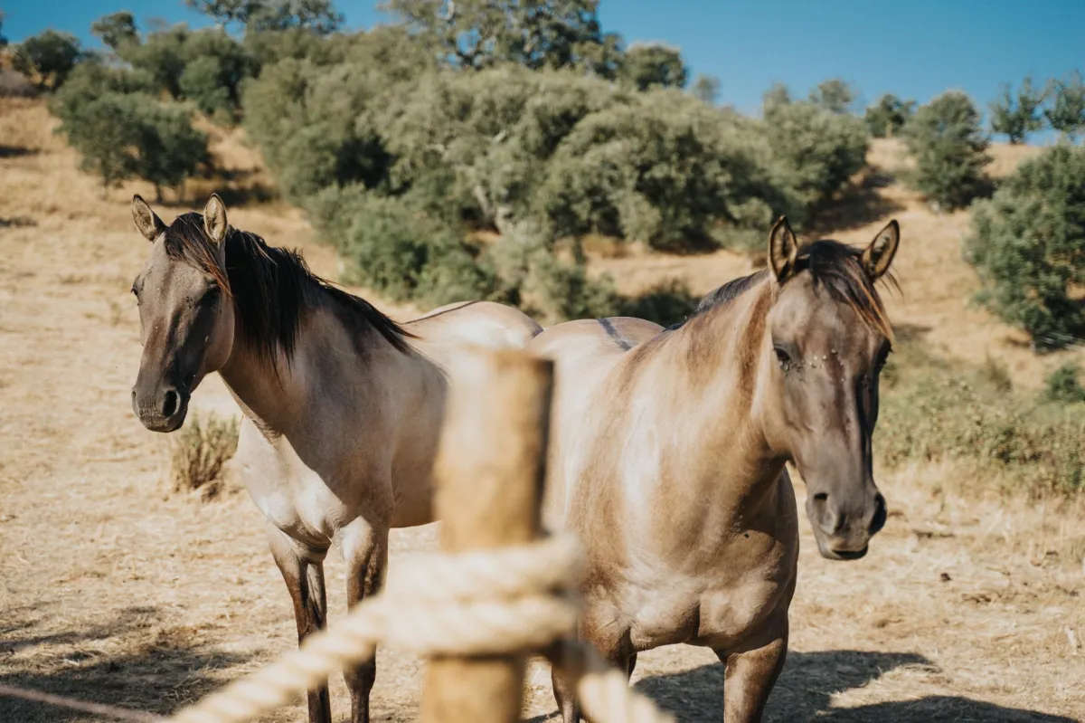 The Weight of “Doing” and the Freedom of Simply Being