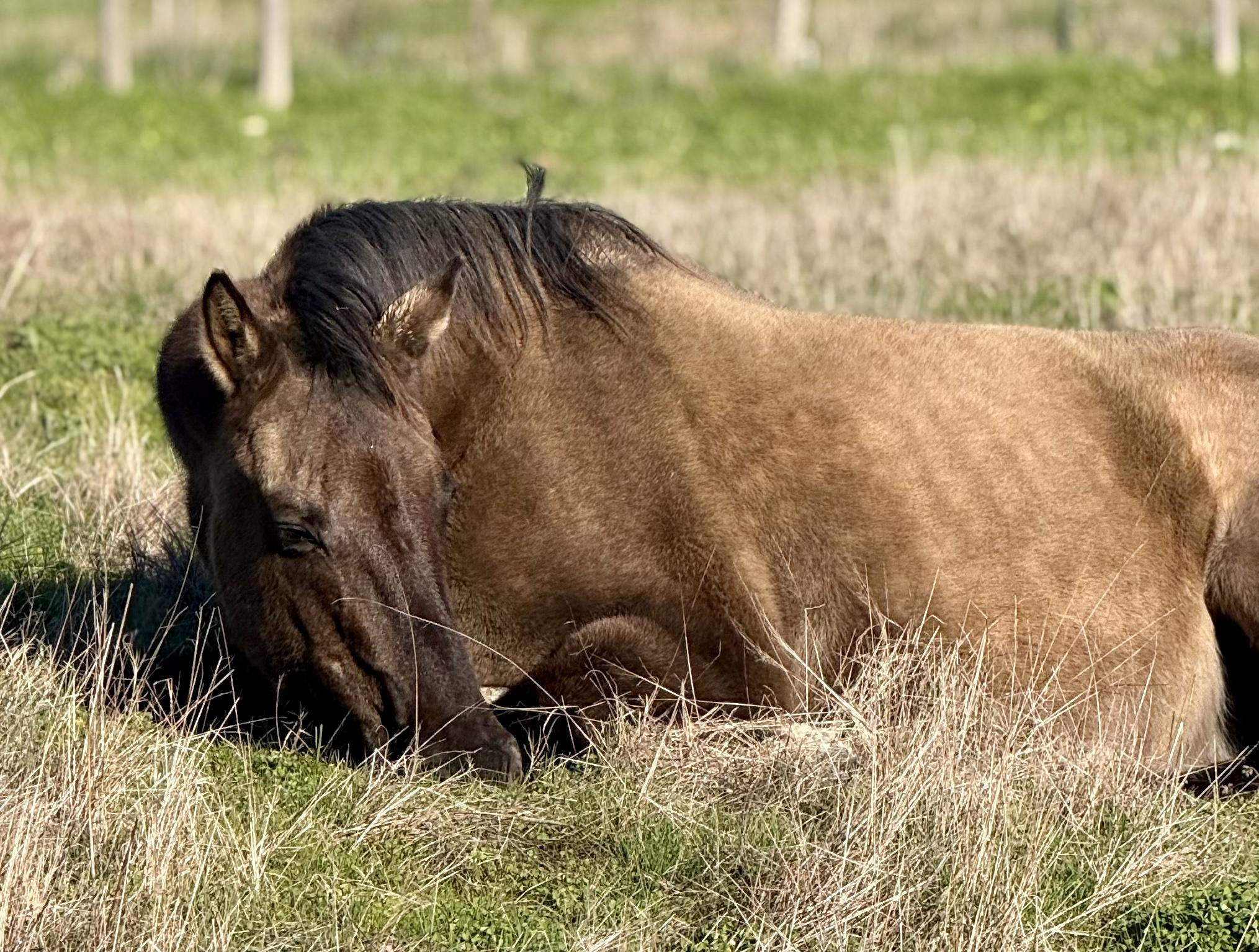 The quiet in-between