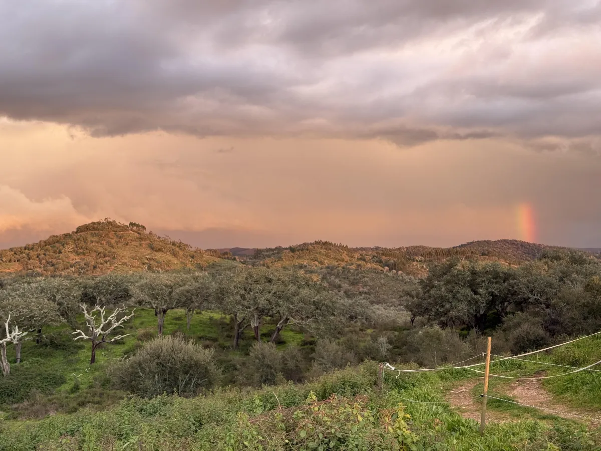 Chop Wood, Carry Water