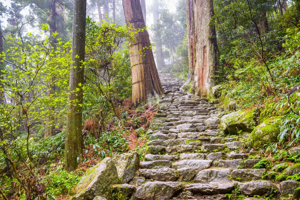 The Kumano Kodo