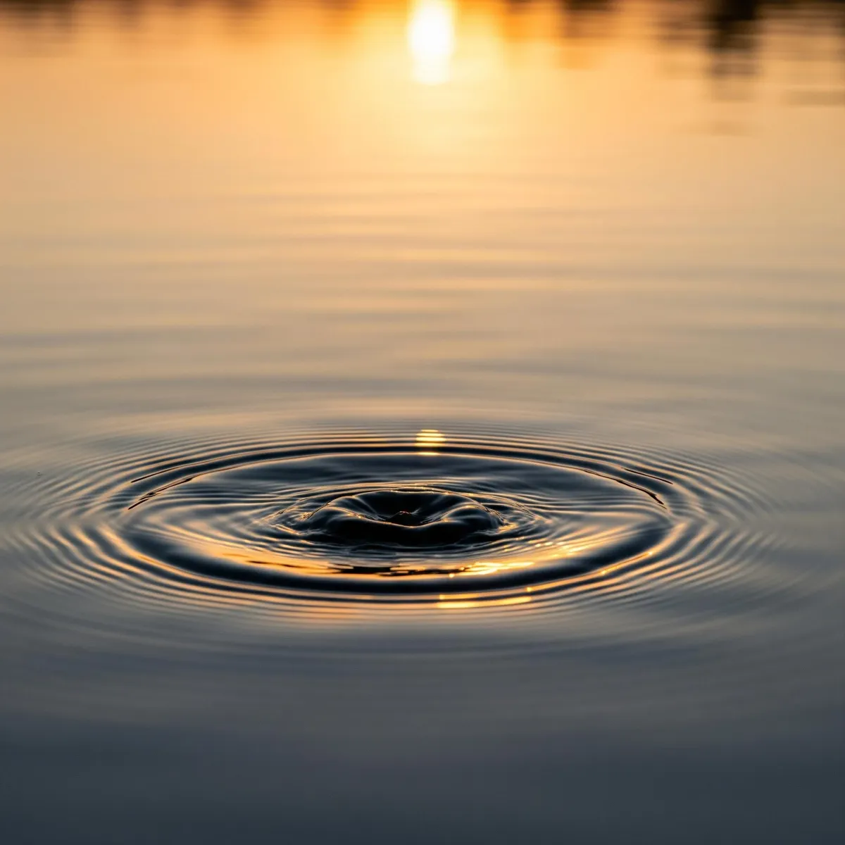 Mobile Notary Services Snohomish County: The Ripple Effect
