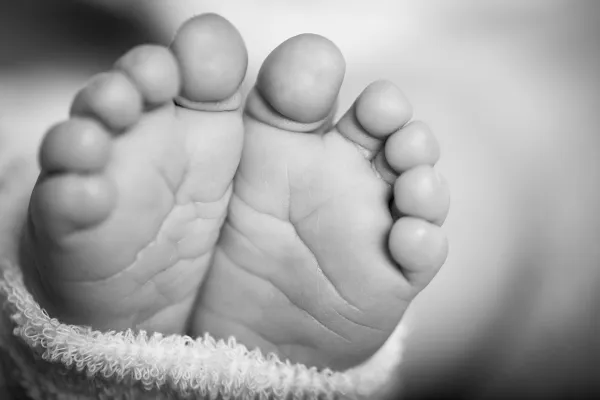 The Heart of the Matter: Why Mobile Notary Services Matter for Assisted Reproductive Technology Legal Documents
