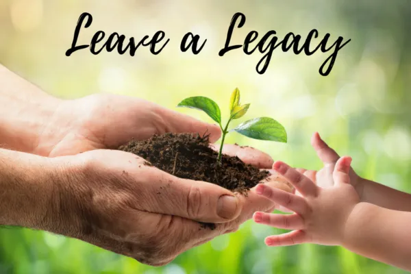 Legacy and Letting Go: Honoring Life, Loss, and What We Leave Behind