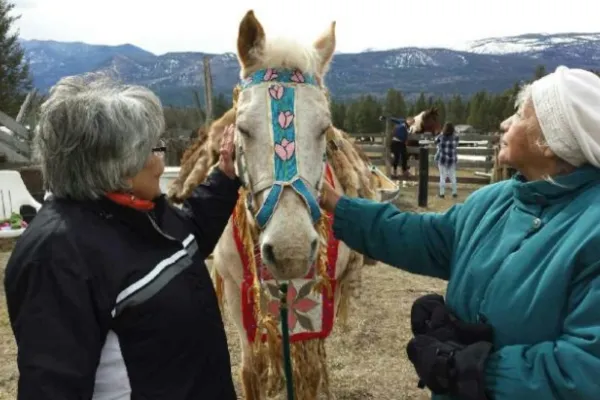 From Stress to Strength: Healing Caregivers with Animals and Equine Support in South Texas